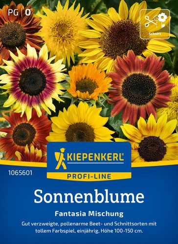 Sonnenblumensamen fantasia - sonnenblumensamen,
